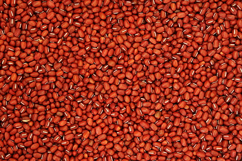 mongetes marrons, mongeta vermella, patró, textura, naturalesa, gra, Agricultura, cultiu, menjar, fons, llavor, primer pla, aliments crus, orgànic, gran grup d'objectes, abundància, marc complet, menjar i beguda, frescor, alimentació saludable, cap gent, benestar, marró, repetició, natura morta, vermell, a la venda, a l'interior, teula de teulada, 4K, CC0, domini públic, lliure de regalies