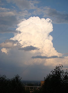 Sky, himmel, skyer, stormfuld, hvid, lyn skyen, regn, sky - himmel, træ, plante, skønhed i naturen, natur, scenics - natur, ingen mennesker, ro, lav vinkel visning, rolig scene, udendørs, dag, silhuet, kabel, miljø, ikke-urbane scene, landskab, vækst, over, 2K, CC0, offentligt domæne, royaltyfrie