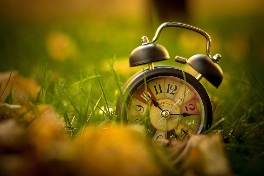 despertador de campana, col · locat, verd, herba, rellotge, alarma, temps, despertador, planta, enfocament selectiu, veure, cap gent, naturalesa, primavera, flor, instrument del temps, primer pla, sol objecte, camp, nombre, antiguitat, estiu, a l'aire lliure, nivell superficial, Minuta, 5K