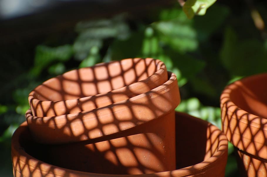 vaso di fiori, ombra, modello, Linee, soleggiato, luce, giardino, umore, luminosa, su, verde, arancia, Marrone, avvicinamento, sport, nessuno, cibo, giorno, cibo e bevande, estate, cibo dolce, concentrarsi sulle conoscenze acquisite, freschezza, cestino, natura, dolce, luce del sole, indulgenza, all'aperto, spuntino, messa a fuoco selettiva, pronto a mangiare, al forno, 1080P