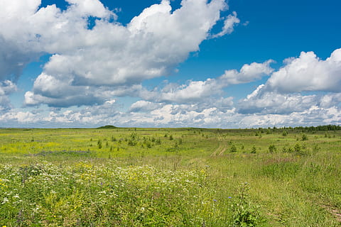 vert, champ d'herbe, jour, champ, ciel, des nuages, paysage, espace ouvert, la nature, été, Russie, prairies, légumes verts, ciel bleu, paysage rural, bleu, Prairie, herbe, en plein air, scène rurale, nuage - ciel, paysages, plante, environnement, terre, beauté dans la nature, horizon, paysages - nature, horizon au-dessus de la terre, couleur verte, plaine, scène tranquille, scène non urbaine, tranquillité, journée, personne, semi-aride, 5K, CC0, domaine public, libre de droits
