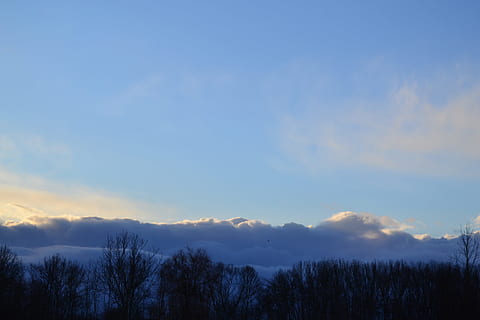 skyer, Himmelblå, blå, træer, fugl, natur, himmel, blå, træer, mørk, Skov, lys, helvede, morgen, silhuet, træ, solopgang, daggry, scenics, landskab, udendørs, sky - himmel, bjerg, skønhed i naturen, rolig scene, ro, scenics - natur, plante, ingen mennesker, ikke-urbane scene, solnedgang, idyllisk, kopiere plads, miljø, 4K, CC0, offentligt domæne, royaltyfrie