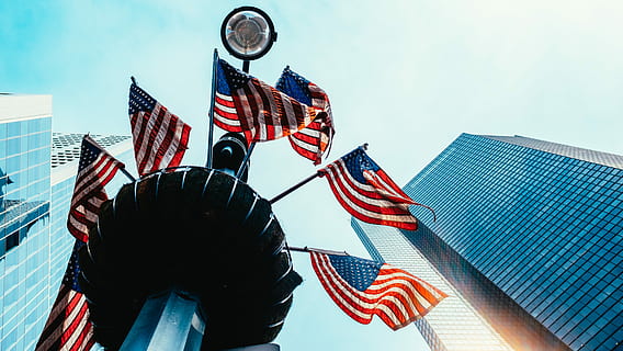 bayrak, Yedi, amerikan bayrakları, siyah, Kulp, bayraklar, ararken, binalar, nyc, Amerika Birleşik Devletleri, vatanseverlik, mimari, Kent, ofis binası dış, dış yapı, düşük açılı görünüş, gökyüzü, çizgili, yapılı yapı, gurur, doğa, gökdelen, gün, özgürlük, insansız, demokrasi, hükümet, bağımsızlık, ulusal simge, 4K, CC0, kamu malı, telif ücretsiz