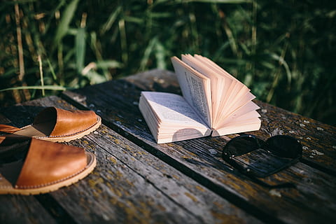 lake, Reading book, people, summer, book, opened notebook, time, old pier, evening, magic hour, wooden pier, girl reading book, boy reading book, man with book, woman with book, wooden boards, pier, nature, no people, day, outdoors, grass, close-up, wood - material, publication, plant, focus on foreground, selective focus, table, page, paper, open, leaf, plant part, wood, craft, 5K