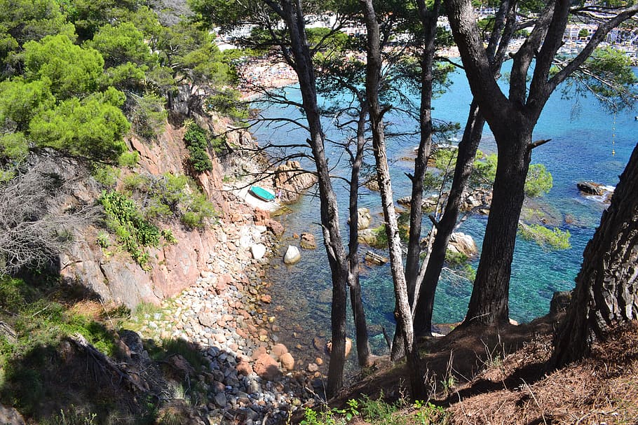 hav, Bugt, lagune, side, middelhavet, Spanien, havet, natur, maritime landskab, landskab, maritim, blå, marine, træer, costa brava, træ, plante, vand, skønhed i naturen, vækst, jord, ro, dag, scenics - natur, Skov, rolig scene, ingen mennesker, træstamme, bagagerum, ikke-urbane scene, udendørs, sollys, 4K