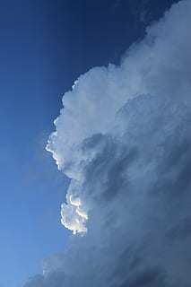 cumulonimbus, nori, thundercloud, cumulus, cer, albastru, forme de nori, alb, cerul acoperit, natură, ușoară, nor - cer, frumusețe în natură, vedere unghiulară joasă, scenice - natura, nici o persoana, liniște, zi, culoare alba, o scenă liniștită, în aer liber, idilic, spațiu copie, scenă non-urbană, lumina soarelui, Cloudscape, 4K, CC0, domeniu public, fără drepturi de autor