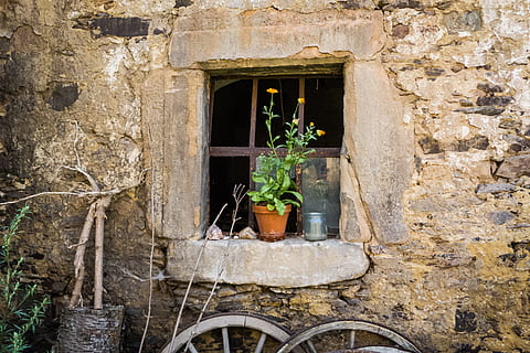 verde, leafed, piante, Marrone, pentola, finestra, fienile, stalla, vecchio, costruzione, facciata della casa, parete, intemperie, opere murarie, muro di pietra, pietra di cava, bicchiere, rotto, romantico, vaso di fiori, pianta, fiore, umore, corri giù, rottura, vecchio edificio, architettura, struttura costruita, esterno dell'edificio, Casa, pianta in vaso, crescita, giorno, nessuno, caratteristica della parete, natura, davanzale, all'aperto, quartiere residenziale, solido, foglia, giardinaggio, 4K, CC0, dominio pubblico, privo di copyright