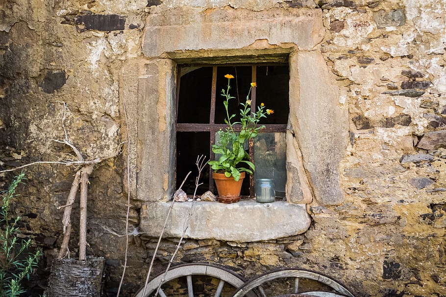 verde, leafed, piante, Marrone, pentola, finestra, fienile, stalla, vecchio, costruzione, facciata della casa, parete, intemperie, opere murarie, muro di pietra, pietra di cava, bicchiere, rotto, romantico, vaso di fiori, pianta, fiore, umore, corri giù, rottura, vecchio edificio, architettura, struttura costruita, esterno dell'edificio, Casa, pianta in vaso, crescita, giorno, nessuno, caratteristica della parete, natura, davanzale, all'aperto, quartiere residenziale, solido, foglia, giardinaggio, 4K