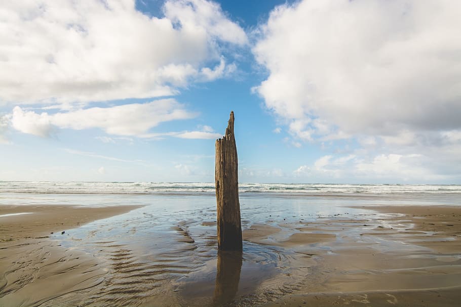 Brun, log, kysten, sand, vand, strand, skyer, himmel, stump, kyst, landskab, havet, jord, sky - himmel, hav, skønhed i naturen, rolig scene, scenics - natur, ro, træ - materiale, natur, stolpe, træ post, horisont, ikke-urbane scene, dag, ingen mennesker, horisont over vand, udendørs, lavvande, 1080P