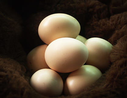 ou, fresc, colesterol, granja, cuina, marró, menjar, fenc, orgànic, palla, vell, proteïna, rústic, mercat, pollastre, sopar, Pasqua, arpillera, shell, crua, primer pla, Munt, closca d'ou, taula, ningú, natural, útil, ocell, agricultura, esmorzar, ensacat, provence, llum, fosc, fusta, tela de sac, saludable, sac, focus, dinar, grup, casa, país, comestibles, ingredient, nacional, cuinar, imatge, cap gent, tir de l'estudi, a l'interior, menjar i beguda, vulnerabilitat, frescor, aliments crus, fragilitat, natura morta, benestar, ous d’animals, alimentació saludable, enfocament selectiu, grup d'objectes, naturalesa, gran grup d'objectes, Color blanc, 2K, CC0, domini públic, lliure de regalies