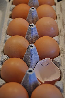eggeskall, smil, munter, søt, egg, mat, velvære, mat og Drikke, spise sunt, stor gruppe gjenstander, nærbilde, friskhet, stilleben, ingen folk, brun, egg kartong, rå mat, på rad, dag, selektiv fokusering, marked, høy vinkel visning, kasse, overflod, 4K, CC0, offentlig domene, opphavsrett gratis
