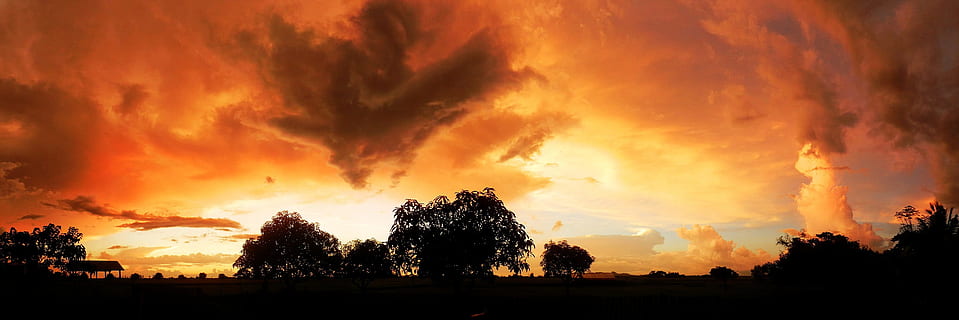 matahari terbenam, alam, polos, bayangan hitam, warna oranye, langit yang dramatis, tidak ada orang, awan - langit, langit, keindahan di alam, pohon, menanam, badai, lingkungan Hidup, scenics - alam, pemandangan, panorama, awan badai, senja, ketenangan, di luar rumah, yg beralamat buruk, kekuatan di alam, 1080P, CC0, domain publik, bebas royalti