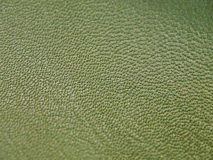 pelle, azzurrognolo, struttura, sfondo, illuminato, pori, grigiastro, naturale, pelle di animale, gegärbt, la zona, pelliccia, come il cuoio, pelle vera, sfondi, avvicinamento, macro, strutturato, fotogramma intero, colore verde, nessuno, modello, tessile, in casa, vista dall'alto, messa a fuoco selettiva, ambiente, girato in studio, pianta, erba, terra, primo piano estremo, natura, morbidezza, sport, sfondi astratti, 4K, CC0, dominio pubblico, privo di copyright