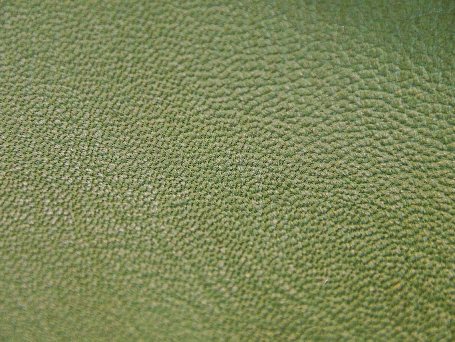 læder, blålig, struktur, baggrund, belyst, porer, grålige, naturlig, dyrehud, gegärbt, areal, pels, læderagtige, ægte læder, hud, baggrunde, tæt på, makro, tekstureret, fuld ramme, grøn farve, ingen mennesker, mønster, tekstil, indendørs, høj vinkel visning, selektiv fokusering, miljø, studio skud, plante, græs, jord, ekstrem nærbillede, natur, blødhed, sport, abstrakte baggrunde, 4K