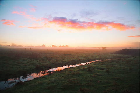 cos, aigua, a través de, verd, plantes, paisatge, fotografia, camp, daurat, hores, posta de sol, cel, núvols, herba, camps, boira, rural, agricultura, escenics, escena tranquil·la, tranquil·litat, naturalesa, escena rural, bellesa a la natura, escenics - natura, color taronja, núvol - cel, planta, terra, medi ambient, cap gent, idíl·lic, a l'aire lliure, 1080P, CC0, domini públic, lliure de regalies