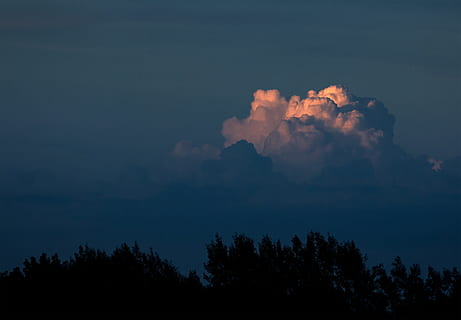 grøn, bladede, træer, overskyet, himmel, tyk, Sky, silhuet, Foto, bjerg, natur, scenics, blå, landskab, sky - himmel, udendørs, skønhed i naturen, solnedgang, nat, ingen mennesker, træ, plante, scenics - natur, rolig scene, ro, jord, miljø, belyst, skumring, vækst, Skov, lav vinkel visning, magt i naturen, 2K, CC0, offentligt domæne, royaltyfrie