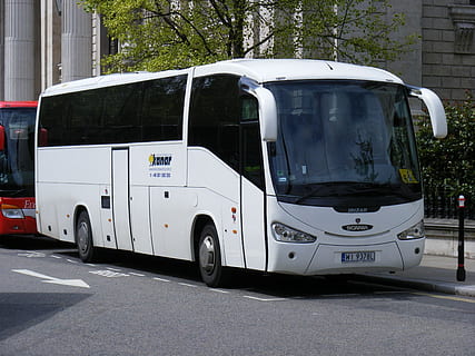 blanc, parc d’autobusos, al costat, arbre, durant el dia, autobús, transport, Polònia, manera de transport, automòbil, ciutat, vehicle terrestre, carrer, cotxe, dia, carretera, planta, cap gent, a l'aire lliure, arquitectura, naturalesa, estacionari, camió, aparcament, furgoneta - vehicle, exterior de l'edifici, 1080P, CC0, domini públic, lliure de regalies