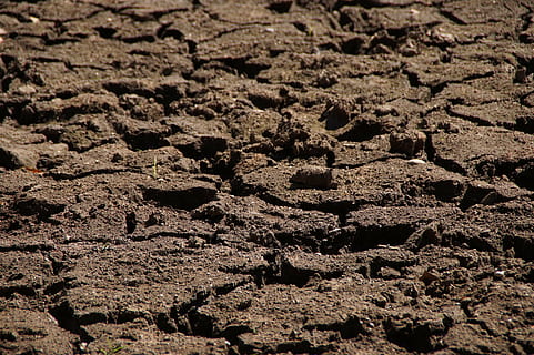 droogte, droog, natuur, uitgedroogd, gebarsten, landschap, aarde, motor, groen, hoop, volledig kader, achtergronden, geen mensen, patroon, getextureerde, detailopname, dag, buitenshuis, vuil, bruin, land-, droog klimaat, hoge hoekmening, dor, milieu, modder, zonlicht, kalmte, klimaat, 5K, CC0, publiek domein, royaltyvrij