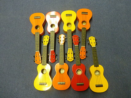 ukulele, musiikki, jono, pieni, havaijilainen, hauska, ei ihmisiä, vaihtelu, sisällä, suuri joukko esineitä, keltainen, musiikki-instrumentti, kitara, jousisoitin, taiteen kulttuuri ja viihde, musiikkilaitteet, suoraan edellä, asetelma, lähikuva, järjestely, monivärinen, rivissä, tilata, valinta, työväline, korkea kulma, käsisaha, 4K, CC0, public domain, rojaltivapaa