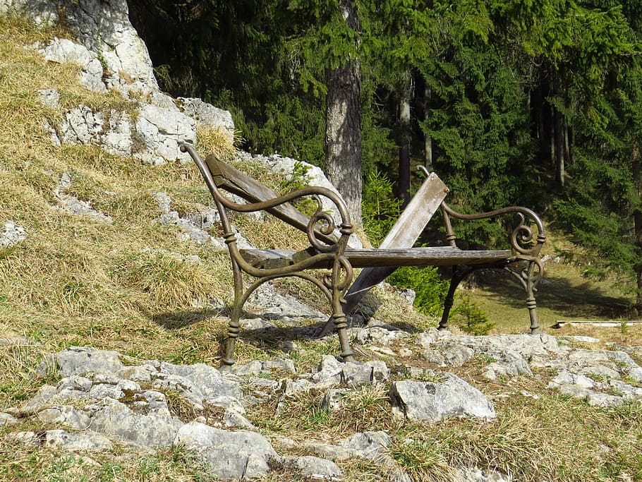les, banka, lavice, starý, nostalgie, les, banka, Příroda, zahrada, nikdo, den, venku, strom, pevný, rostlina, Skála, rock - objekt, klid, přistát, krása v přírodě, dřevo - materiál, klidné scény, mimoměstské scény, růst, scenics - příroda, životní prostředí, krajina, 4K