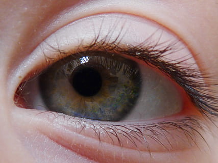 ull, verd, iris, alumne, ull, verd, ull humà, pestanya, part del cos humà, vista, una persona, primer pla, percepció sensorial, part del cos, primer pla extrem, globus ocular, pell humana, macro, pell, persones reals, iris - ull, persona irreconeixible, retrat, mirant la càmera, parpella, rostre humà, cella, dona guapa, 4K, CC0, domini públic, lliure de regalies
