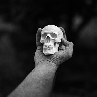 Person, halten, Mensch, Schädel, Miniatur, Hand, tot, grunge, Knochen, dunkel, gruslig, menschliches Körperteil, menschliche Hand, menschlicher Finger, einfarbig, Erwachsene, Menschen, eine Person, Nahansicht, nur für Erwachsene, Körperteil, Finger, Fokus auf den Vordergrund, nicht erkennbare Person, Gesundheitswesen und Medizin, Lebensstile, Geschichte, draußen, persönliche Perspektive, menschliches Glied, 5K, CC0, gemeinfrei, lizenzfrei