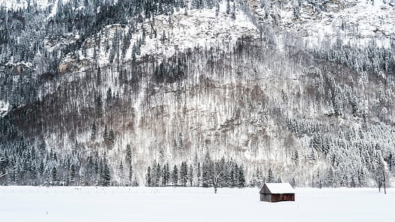 zăpadă, acoperit, casă, copaci, snowfield, Munte, ținut muntos, nor, cer, vârf, creastă, peisaj, natură, vale, deal, iarnă, vedere, călătorie, pădure, copac, temperatura rece, îngheţ, sezon, în aer liber, alb, gheaţă, brad, plantă, frumusețe în natură, nici o persoana, zi, o scenă liniștită, teren, mediu inconjurator, liniște, culoare alba, scenă non-urbană, îngheţat, construită, scenice - natura, ninsorile, conifer, 4K, CC0, domeniu public, fără drepturi de autor
