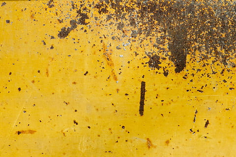 braun, Schmutz, Gelb, Oberfläche, Wand, abstrakt, rostig, stehlen, Metall, Textur, Hintergrund, alt, Hintergründe, texturiert, schmutzig, keine Leute, Vollbild, Nahansicht, große Gruppe von Tieren, Gruppe von Tieren, Tierthemen, Schönheit in der Natur, wirbellos, Tier, Herbst, Tierwelt, Insekt, Kolonie, Tiere in freier Wildbahn, draußen, Fülle, Tag, 1080P, CC0, gemeinfrei, lizenzfrei