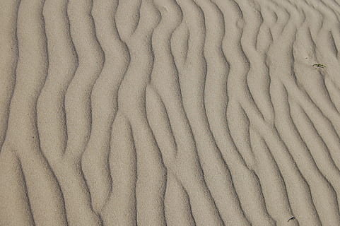 areia marrom, areia, ondulação, de praia, deserto, natural, panorama, ondulado, duna, costa, texturizado, seco, padronizar, árido, natureza, linhas, Castanho, terra, estéril, superfície, seca, quente, terreno, pano de fundo, ao ar livre, origens, duna de areia, abstrato, fechar-se, quadro completo, ninguém, dentro de casa, padrão de onda, padrão natural, dia, visão de alto ângulo, ferro, têxtil, ainda vida, grande grupo de objetos, rude, clima árido, 2K, CC0, domínio público, royalty free