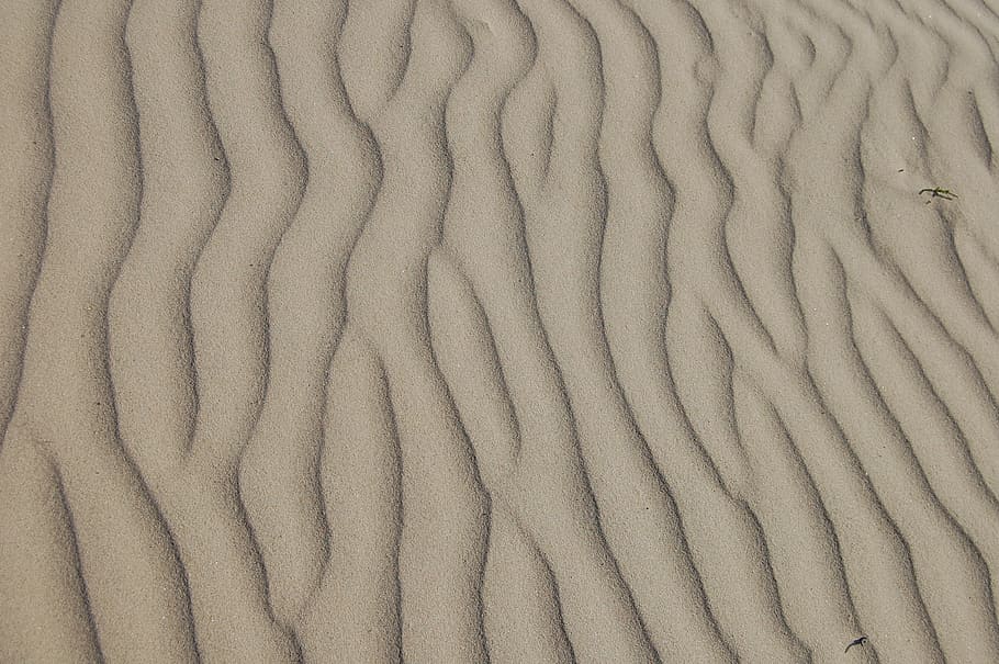 areia marrom, areia, ondulação, de praia, deserto, natural, panorama, ondulado, duna, costa, texturizado, seco, padronizar, árido, natureza, linhas, Castanho, terra, estéril, superfície, seca, quente, terreno, pano de fundo, ao ar livre, origens, duna de areia, abstrato, fechar-se, quadro completo, ninguém, dentro de casa, padrão de onda, padrão natural, dia, visão de alto ângulo, ferro, têxtil, ainda vida, grande grupo de objetos, rude, clima árido, 2K