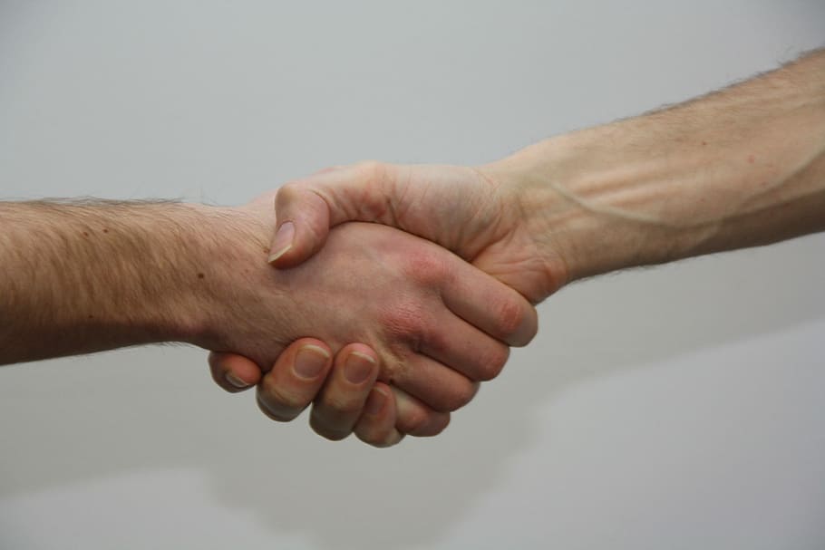 to, person, ryster, hænder, ryste, give, menneskelig hånd, menneskelig kropsdel, samvær, aftale, to personer, voksen, hånd, håndtryk, herrer, partnerskab - teamwork, kropsdel, forretning, samarbejde, håndled, indendørs, mennesker, studio skud, farvet baggrund, menneskelig ledd, hilsen, finger, menneskelig lem, menneskelige arm, 4K