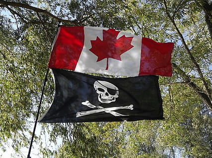 flag, canadian, pirate, tree, patriotism, plant, low angle view, red, day, nature, no people, star shape, shape, outdoors, symbol, sky, leaf, textile, sign, branch, wind, maple leaf, warning symbol, 1080P, CC0, public domain, royalty free