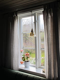 okno, torp, domek letniskowy, pelargonia, różowy, lampa okienna, romantycznie, atmosferyczny, Natura, widoki, Chata, Szwecja, sam, idylla, stare okno, västergötland, ogród, projektowanie wnętrz, domek letni, wewnątrz, kurtyna, żadnych ludzi, wnętrze domu, architektura, patrząc przez okno, dom, parapet, architektura i budynki, kwiat, dzień, roślina, przezroczysty, szkło - materiał, roślina kwitnąca, roślina doniczkowa, wazon, wzrost, wiszące, doniczka, 2K, CC0, domena publiczna, darmowe zdjęcia