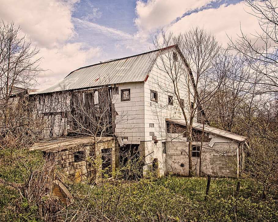 graner, vell, ohio, rural, país, comtat del campanar, art digital, deteriorat, abandonat, inutilitzat, resistent, oblidat, americana, estructura, estructures, sturgell, William Sturgell, factura sturgell, foto, fotografia, històric, decoració de la llar, edificis, males herbes, campanar, comtat, urbana, millorat, decaïment, decadència rural, deteriorament, rústic, trencat, espatllat, fusta, esmicolar, estructura construïda, arquitectura, exterior de l'edifici, cel, núvol - cel, planta, casa, edifici, naturalesa, arbre nu, arbre, material de fusta, cap gent, dia, terra, edifici agrícola, paisatge, a l'aire lliure, cabina, 4K