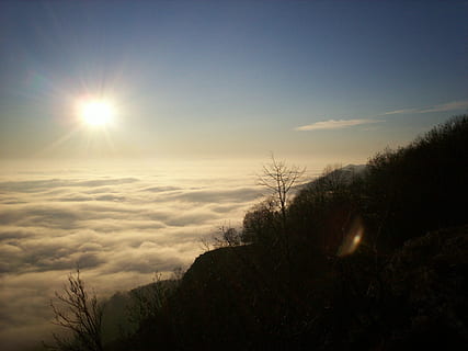 inversion, tjære sten, bøg hg, Skov, tåge, Sky, natur, solnedgang, himmel, sol, udendørs, sollys, skumring, landskab, scenics, skønhed i naturen, ro, scenics - natur, sky - himmel, rolig scene, plante, træ, ingen mennesker, solstråle, silhuet, linseflare, idyllisk, ikke-urbane scene, lyse, Stærkt oplyst, 1080P, CC0, offentligt domæne, royaltyfrie