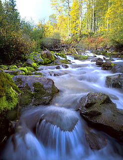 iarbă verde, aspens, apă, curent, cascadă, stâncos, toamnă, scenice - natura, frumusețe în natură, copac, pădure, apă curgătoare, plantă, mişcare, expunere lungă, teren, nici o persoana, mișcare încețoșată, curgere, râu, natură, zi, o scenă liniștită, solid, stâncă, în aer liber, putere în natură, pădure tropicală, 1080P, CC0, domeniu public, fără drepturi de autor