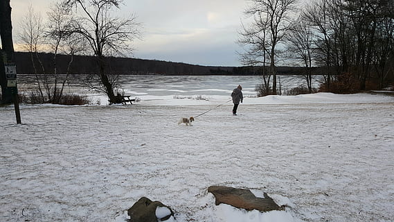 Winter, See, Hund, Schnee, kalte Temperatur, inländisch, Haustiere, Eckzahn, ein Tier, Baum, Säugetier, Tierthemen, echte Menschen, in voller Länge, Tier, eine Person, Natur, Freizeitbeschäftigung, Wirbeltier, warme Kleidung, draußen, 5K, CC0, gemeinfrei, lizenzfrei