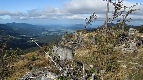 zwercheck, Bayer, metsä, vuori, bayer-metsä, vuori, ylätasanko, maisema, luonto, scenics, ulkona, päivä, ei ihmisiä, kasvi, puu, pilvi - taivas, kauneus luonnossa, maisemat - luonto, taivas, ympäristö, ei-kaupunkikuvia, arkkitehtuuri, rauhallinen kohtaus, rakennettu rakenne, tyyneys, korkea kulma, maa, matkakohteet, 4K, CC0, public domain, rojaltivapaa