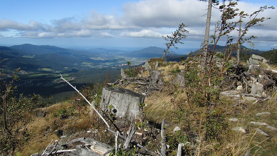 zwercheck, bayer, foresta, montagna, foresta di bayer, montagna, altopiano, paesaggio, natura, Paesaggi, all'aperto, giorno, nessuno, pianta, albero, nuvola - cielo, bellezza nella natura, scenics - natura, cielo, ambiente, scena non urbana, architettura, scena tranquilla, struttura costruita, la tranquillità, vista dall'alto, terra, destinazioni di viaggio, 4K