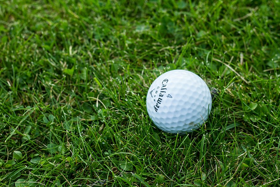 bianca, pallina da golf, bicchiere, golf, erba, verde, Norvegia, Oslo, sport, corso di golf, verde - campo da golf, palla, colore verde, concorrenza, attività di svago, pianta, attività, avvicinamento, giorno, nessuno, concentrarsi sulle conoscenze acquisite, natura, all'aperto, vista dall'alto, natura morta, singolo oggetto, 5K
