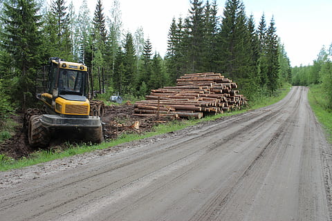 foresta, strada, ceppo, macchina forestale, strada sterrata, mezzi di trasporto, albero, pianta, terra, modo di trasporto, natura, veicolo terrestre, industria di costruzioni, legname, industria del legname, legna, legno - materiale, ambiente, la deforestazione, sporco, pila, nessuno, all'aperto, 2K, CC0, dominio pubblico, privo di copyright
