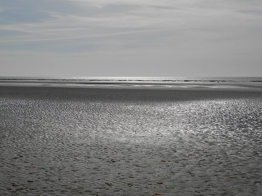 per suma, maree basse, núvols, aigua, mar, platja, cel, terra, escenics - natura, bellesa a la natura, tranquil·litat, escena tranquil·la, sorra, horitzó sobre l’aigua, naturalesa, horitzó, dia, núvol - cel, cap gent, idíl·lic, escena no urbana, a l'aire lliure, sal plana, 2K
