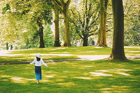 walking, tree-lined, park, Woman, tree, people, girl, nature, outdoors, green Color, men, golf, grass, sport, golf Course, one Person, park - Man Made Space, adult, caucasian Ethnicity, leisure Activity, recreational Pursuit, women, color Image, lifestyles, full length, casual clothing, one woman only, adults only, plant, sunlight, day, real people, standing, rear view, growth, land, shadow, human arm, 2K