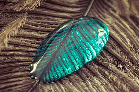 gocciolina di liquido verde acqua, strauss spring, gocciolare, piuma, vicino, macro, sfondo, goccia d'acqua, struttura, piuma d'uccello, liquido, avvicinamento, multicolore, blu, messa a fuoco selettiva, nessuno, piuma di pavone, colore verde, modello, natura morta, color turchese, strutturato, sfondi, in casa, morbidezza, fotogramma intero, vista dall'alto, pavone, legno - materiale, variazione, leggero, accessorio personale, 4K, CC0, dominio pubblico, privo di copyright