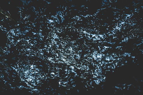 untitled, riser, baggrunde, abstrakt, mørk, sort farve, mønster, tekstureret, tæt på, vinter, sne, kold temperatur, snefnug, natur, ingen mennesker, træ, fuld ramme, skønhed i naturen, plante, ro, dag, udendørs, vand, afdeling, vækst, afspejling, himmel, 4K, CC0, offentligt domæne, royaltyfrie