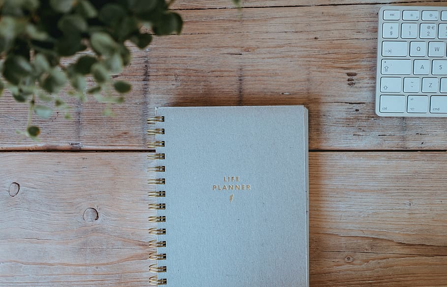grau, Lehrbuch, Apple-Tastatur, hölzern, Tabelle, Notizbuch, Planer, Büro, Geschäft, Tastatur, Holz - Material, Buch, keine Leute, Veröffentlichung, direkt darüber, Stillleben, Pflanze, drinnen, High Angle View, Natur, Tag, Nahansicht, Notizblock, Papier-, öffnen, braun, Kommunikation, Bildung, 4K