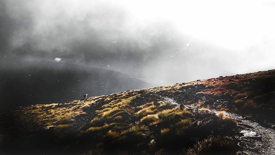 foto di paesaggio, pittura di campo in erba, persona, sentiero, freddo, inverno, la neve, cielo drammatico, ghiaccio, erba, natura, all'aperto, camminare, escursione, voglia di girovagare, Esplorare, escursionista, montagna, Nuova Zelanda, bella passeggiata, Kepler, escursioni a piedi, ambiente, paesaggio, scenics - natura, cielo, nuvola - cielo, bellezza nella natura, nebbia, temperatura fredda, terra, albero, pianta, destinazioni di viaggio, acqua, nessuno, viaggio, picco di montagna, 4K