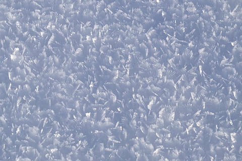 plantes grises, neu, escates, hivern, fred, gener de 2016, fons, resum, Color blanc, marc complet, temperatura de fred, cap gent, gel, blau, naturalesa, bellesa a la natura, patró, a l'aire lliure, dia, escenics - natura, núvol - cel, cel, tranquil·litat, vista d’angle alt, textura, medi ambient, aigua, suavitat, puresa, 4K, CC0, domini públic, lliure de regalies