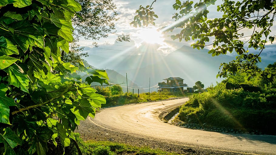 pathway, vej, solflare, sti, himmel, lys, Sky, lyse, rejse, plante, træ, sollys, solstråle, natur, grøn farve, skønhed i naturen, dag, linseflare, vækst, transportmidler, sol, ingen mennesker, solrig, vejen frem, retning, scenics - natur, kurve, udendørs, streaming, Stærkt oplyst, 2K