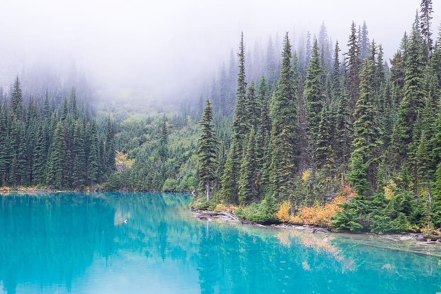 Karosserie, Wasser, neben, Grün, Bäume, Nebel, Joffre Lakes, Wandern, joffre, Seen, Britisch-Kolumbien, Reflexion, Türkis, Fluss, See, Wald, Natur, Landschaft, szenen, Baum, Berg, draußen, Blau, Schönheit in der Natur, Himmel, ruhige Szene, keine Leute, Kanada, Kiefer, Sommer-, Wildnisgebiet, Gebirge, Reise, Farbbild, grüne Farbe, extremes Gelände, Pflanze, Szenen - Natur, Ruhe, Land, Nadelbaum, Nicht-städtische Szene, Tag, Kiefernwald, türkisfarben, immergrüner Baum, 4K
